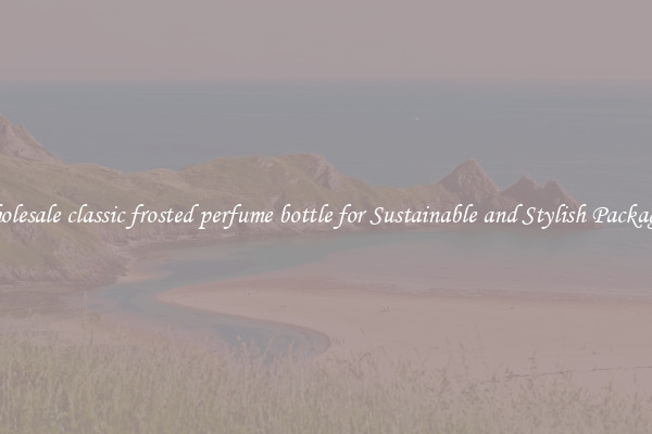 Wholesale classic frosted perfume bottle for Sustainable and Stylish Packaging