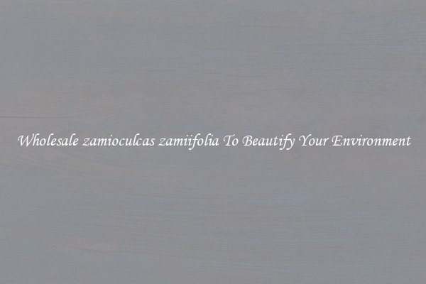 Wholesale zamioculcas zamiifolia To Beautify Your Environment
