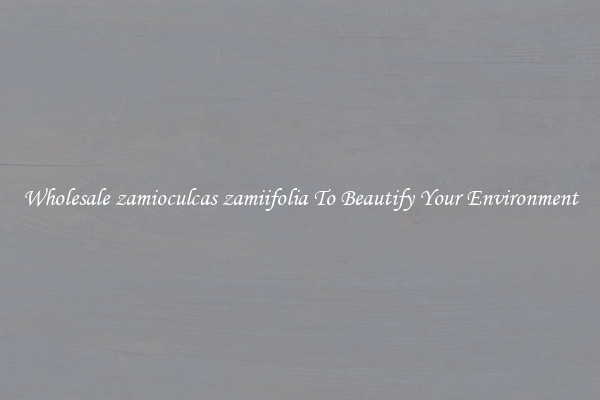 Wholesale zamioculcas zamiifolia To Beautify Your Environment