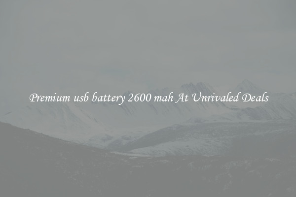 Premium usb battery 2600 mah At Unrivaled Deals