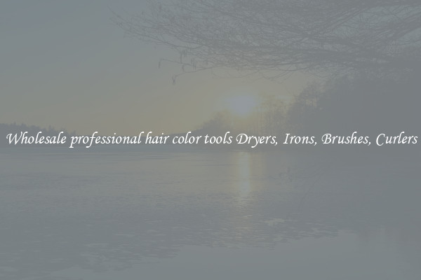 Wholesale professional hair color tools Dryers, Irons, Brushes, Curlers