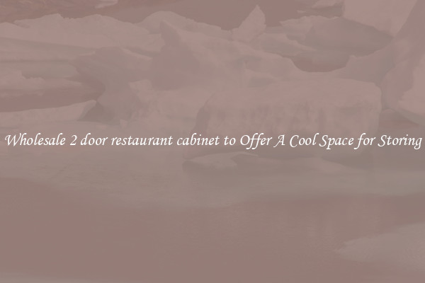 Wholesale 2 door restaurant cabinet to Offer A Cool Space for Storing