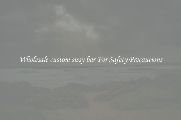 Wholesale custom sissy bar For Safety Precautions