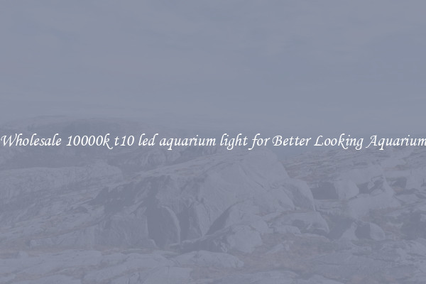 Wholesale 10000k t10 led aquarium light for Better Looking Aquarium