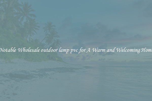 Notable Wholesale outdoor lamp pvc for A Warm and Welcoming Home