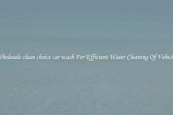 Wholesale clean choice car wash For Efficient Water Cleaning Of Vehicles