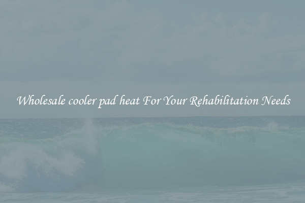 Wholesale cooler pad heat For Your Rehabilitation Needs