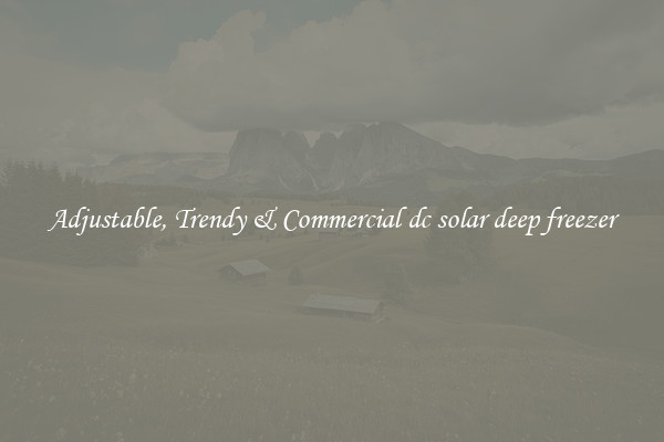 Adjustable, Trendy & Commercial dc solar deep freezer