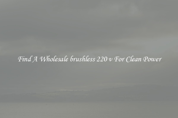 Find A Wholesale brushless 220 v For Clean Power