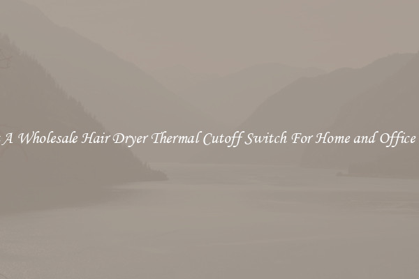 Get A Wholesale Hair Dryer Thermal Cutoff Switch For Home and Office Use