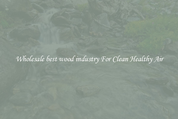 Wholesale best wood industry For Clean Healthy Air