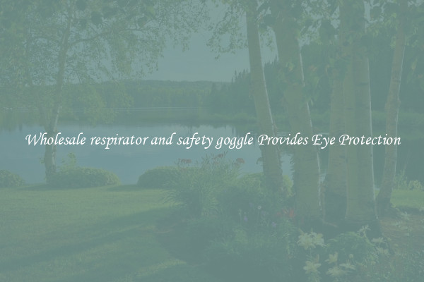 Wholesale respirator and safety goggle Provides Eye Protection
