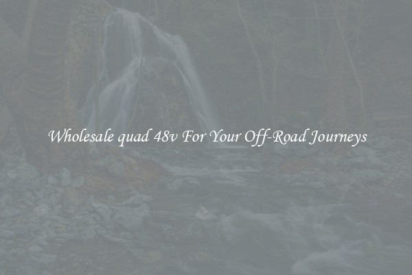 Wholesale quad 48v For Your Off-Road Journeys