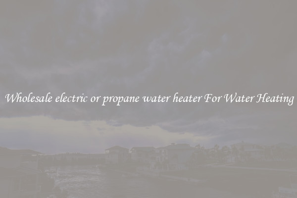 Wholesale electric or propane water heater For Water Heating