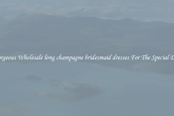 Gorgeous Wholesale long champagne bridesmaid dresses For The Special Day