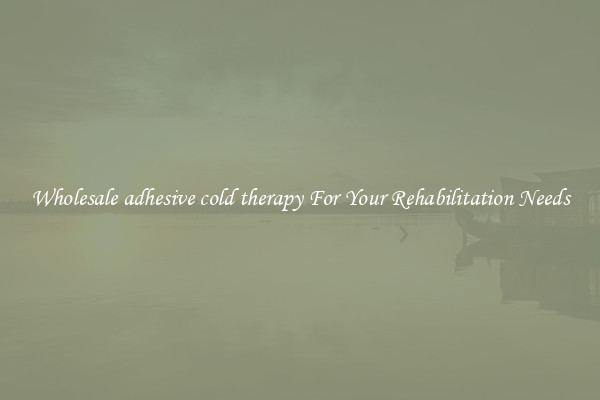 Wholesale adhesive cold therapy For Your Rehabilitation Needs