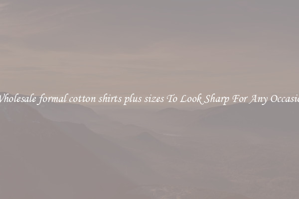 Wholesale formal cotton shirts plus sizes To Look Sharp For Any Occasion