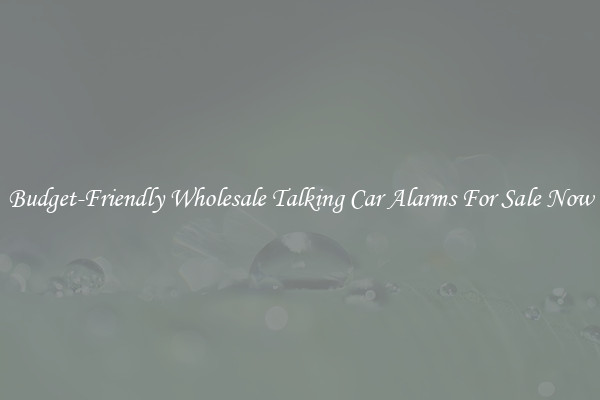 Budget-Friendly Wholesale Talking Car Alarms For Sale Now