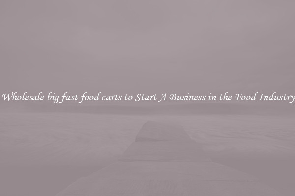 Wholesale big fast food carts to Start A Business in the Food Industry