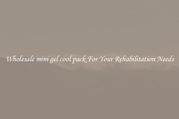 Wholesale mini gel cool pack For Your Rehabilitation Needs