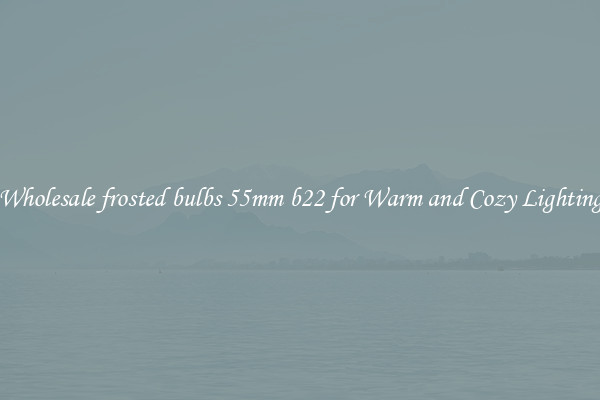 Wholesale frosted bulbs 55mm b22 for Warm and Cozy Lighting