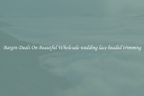 Bargin Deals On Beautful Wholesale wedding lace beaded trimming